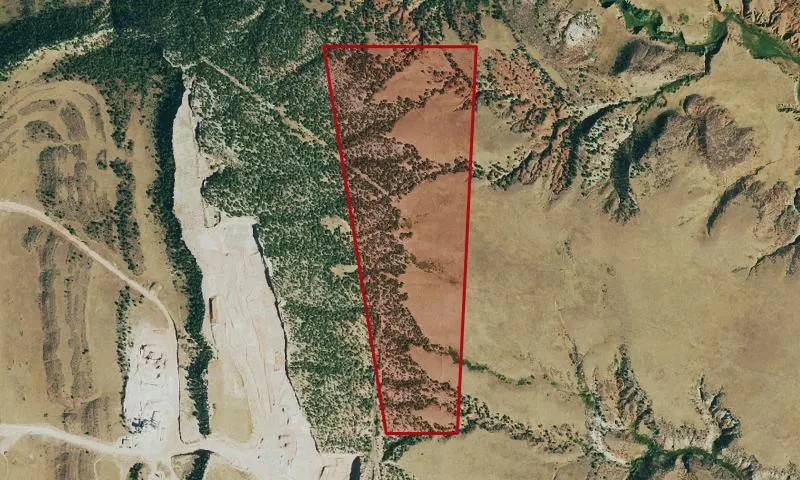 Owl Canyon Pinyon Grove