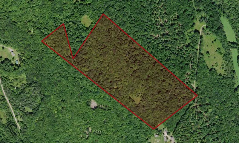 Wolf Hollow Wma
