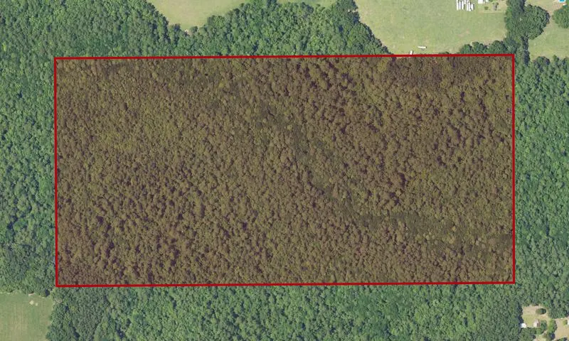 Crawford State Forest