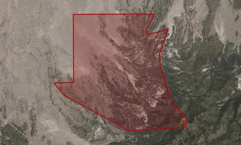 Brushy Springs Roadless Area