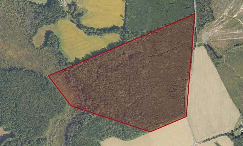 Browne State Forest
