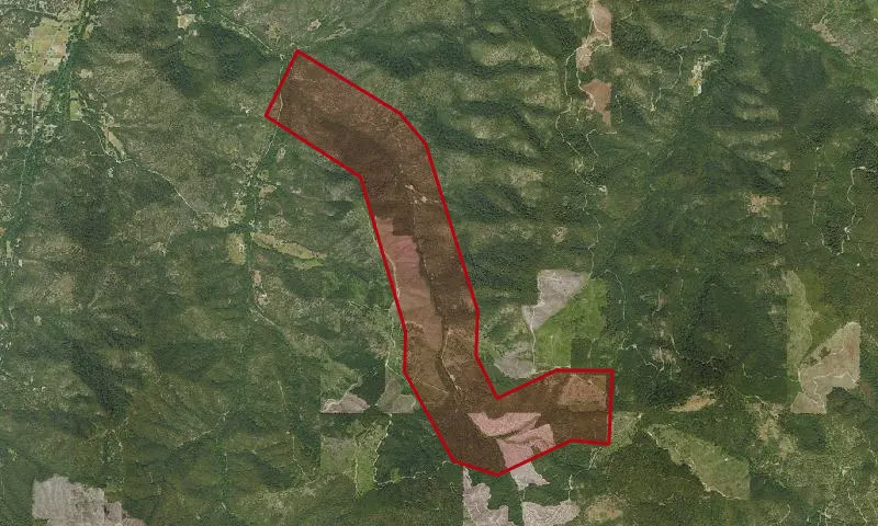Left Fork Foots Creek