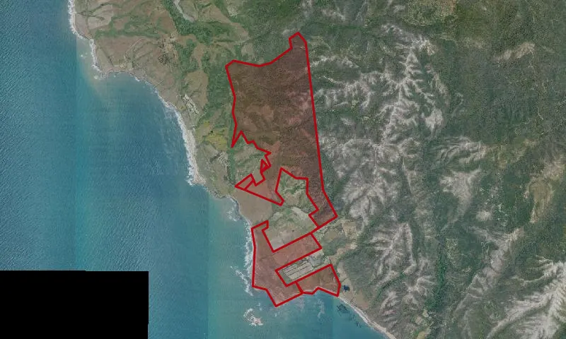 Año Nuevo State Park