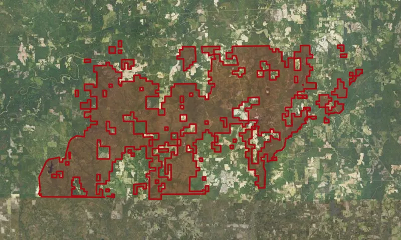 Conecuh National Forest