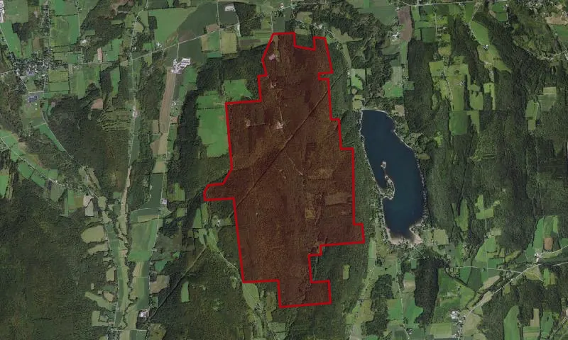 Highland County Forest