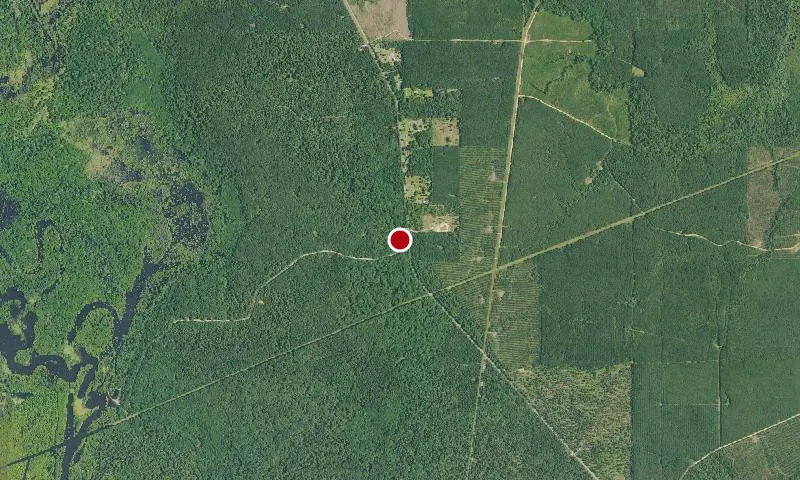 D'Arbonne National Wildlife Refuge