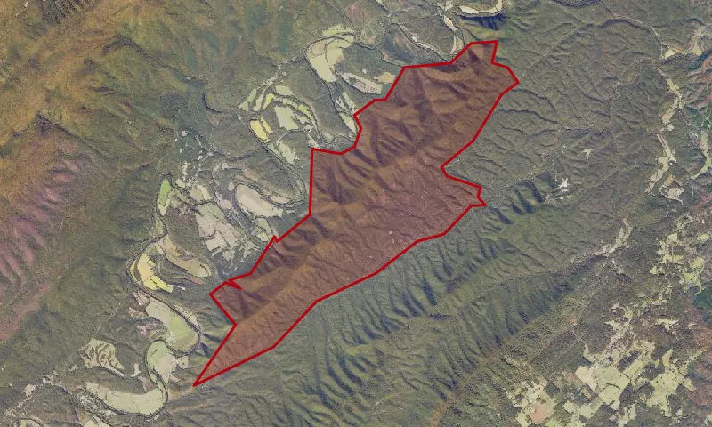 Patterson Mountain Roadless Area