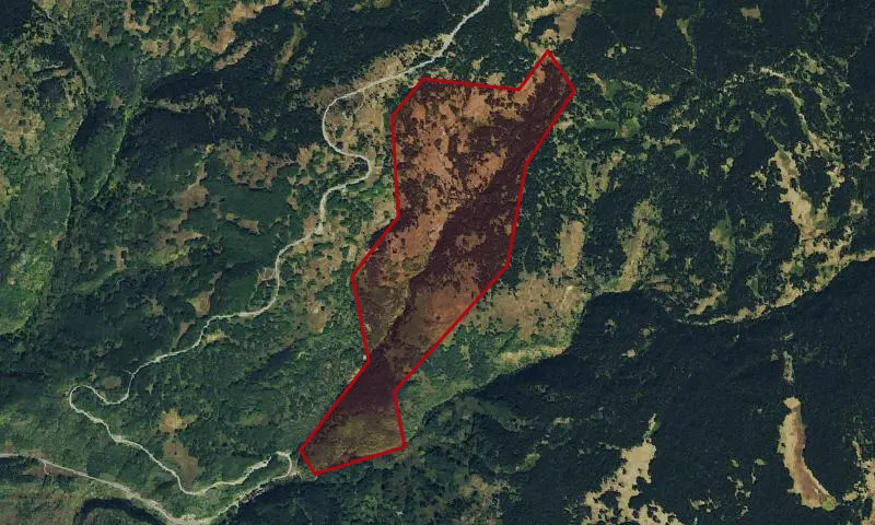 Ripple Creek Pass/Trappers Lake Roadless Area