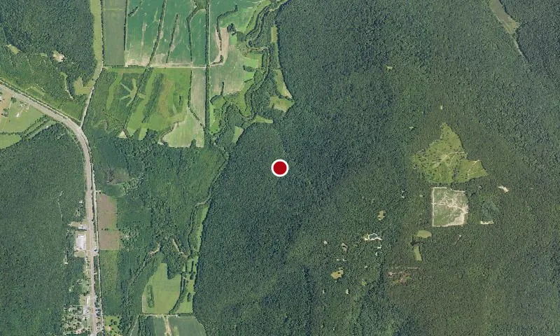 Fern Cave National Wildlife Refuge