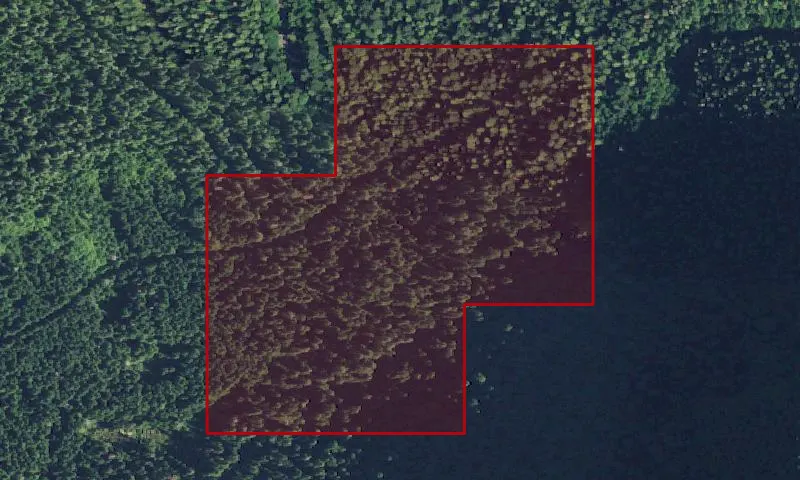 Giant Tree Recreation Area