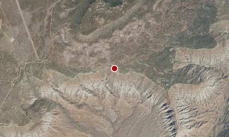 Flying Monkey Trail
