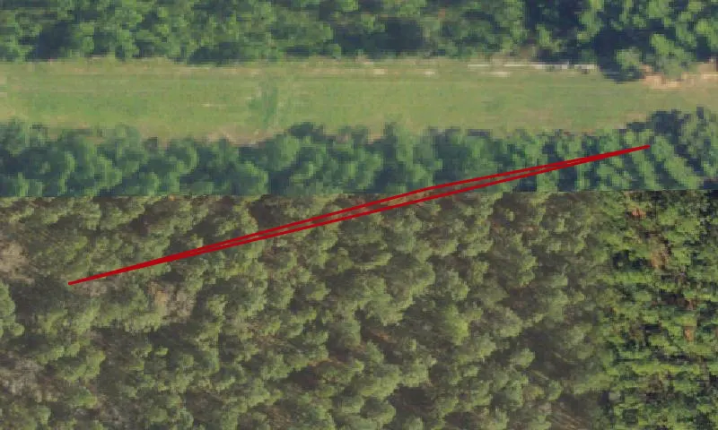 Escambia Experimental Forest