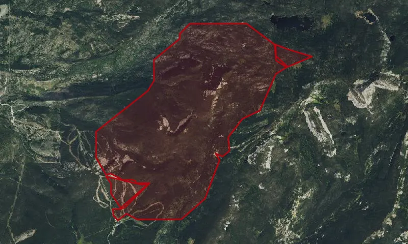 Fred Burr Roadless Area