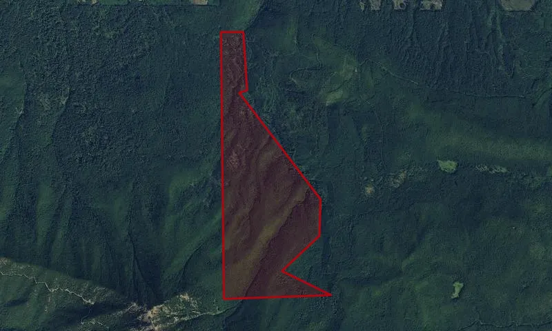 Mcdonald Roadless Area