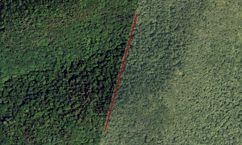 Taconic Trail State Forest