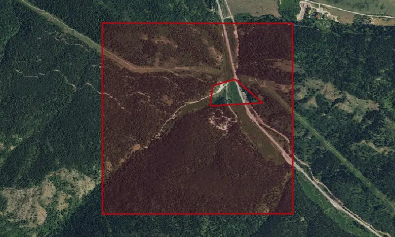 Lodegpole Pine Thinning Plots, Plo 993 Experimental Forest
