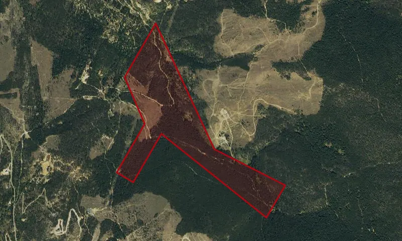 Carpenter Placer, Golden Horseshoe