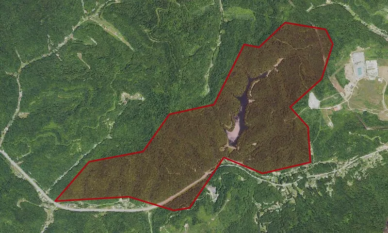 Little Laurel Park Home to Fish Pond Lake
