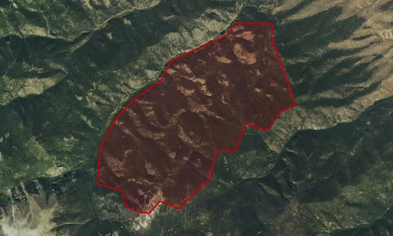 Porphyry Peak Roadless Area