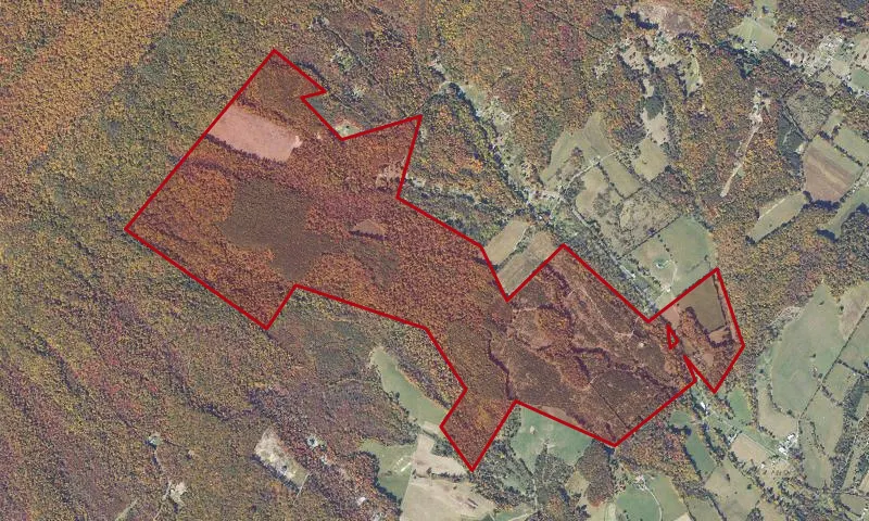 First Mountain State Forest