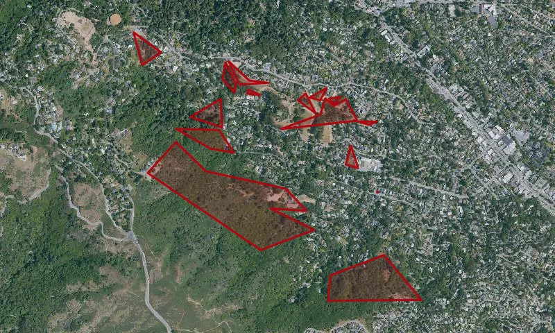 Homestead Valley