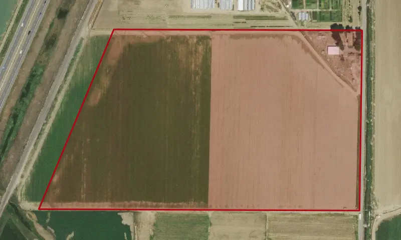 Murata Brothers Farm