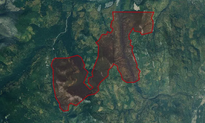 West Fork Yaak #694 Roadless Area