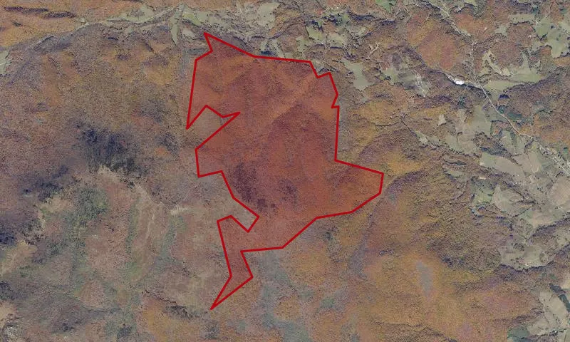 Little Wilson Creek Addition B Roadless Area