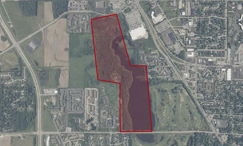 Celery Bog