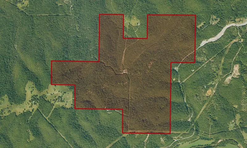 Henry R. Koen Experimental Forest