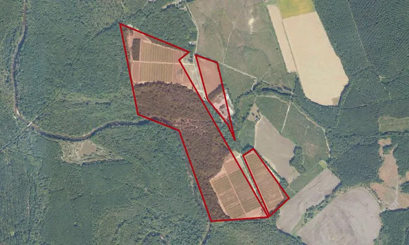 Garland Gray Forestry Center
