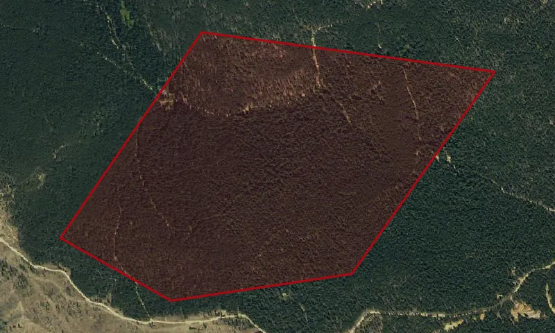 Golden Gate Placer, Golden Horseshoe