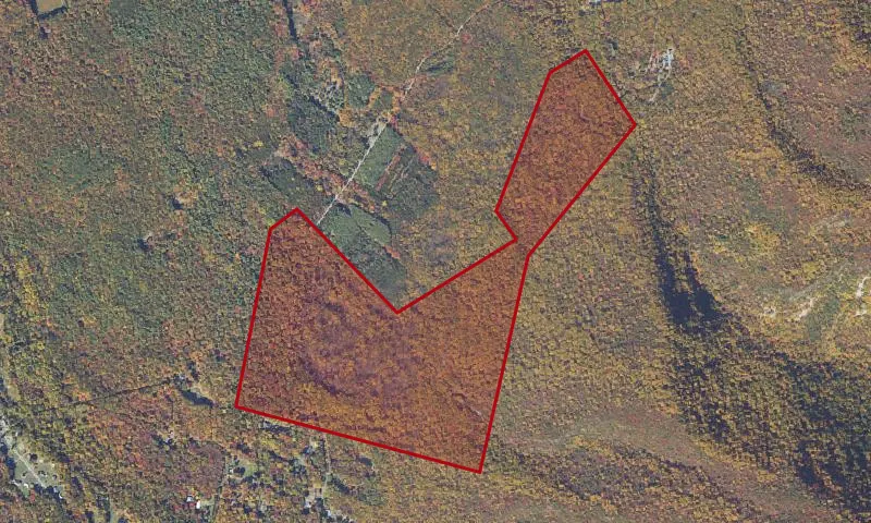 Deep Run Ponds