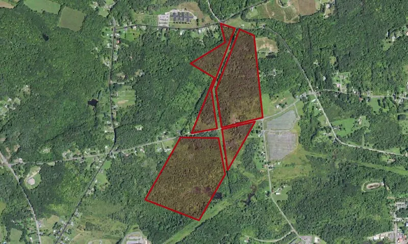 Peck Hill State Forest
