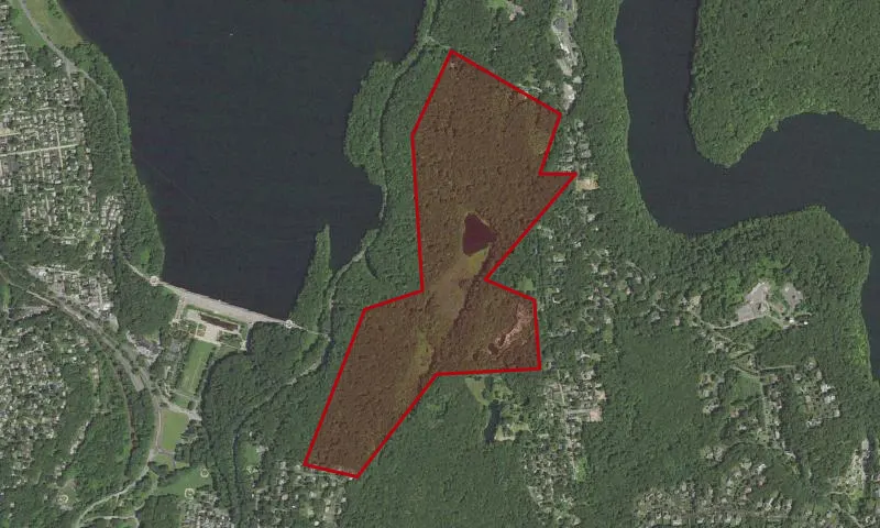 Cranberry Lake Preserve