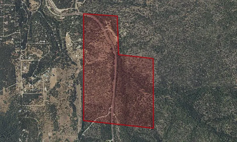 Pine Flat Recreation Site, Plo 1663 Experimental Forest