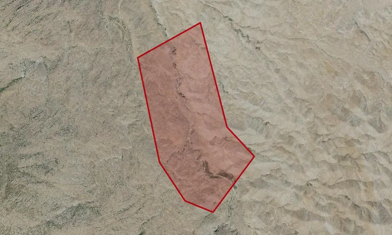 Palm Canyon