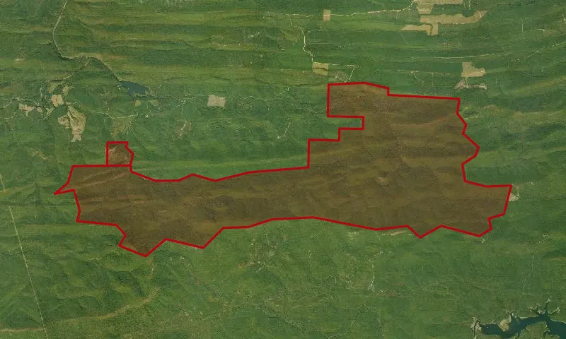 Flatside Wilderness