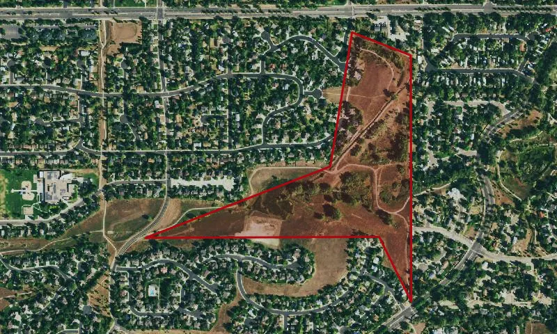 Tamarisk Open Space