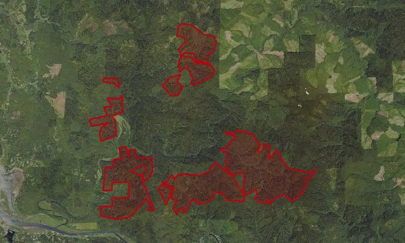 Drift Creek Roadless Area