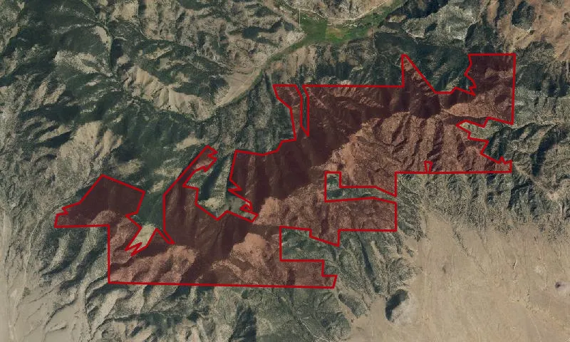 Ute Pass Roadless Area