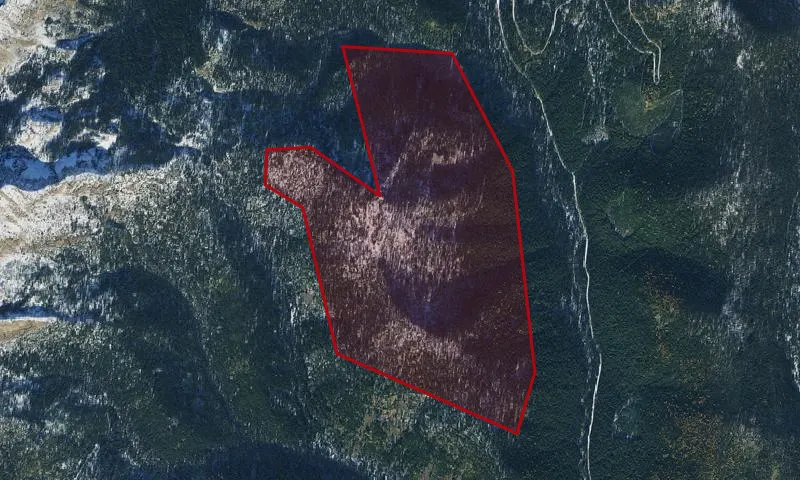 Salmo - Priest C Roadless Area