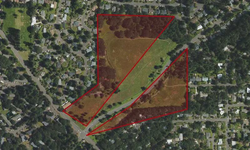 Woodland Meadow Park