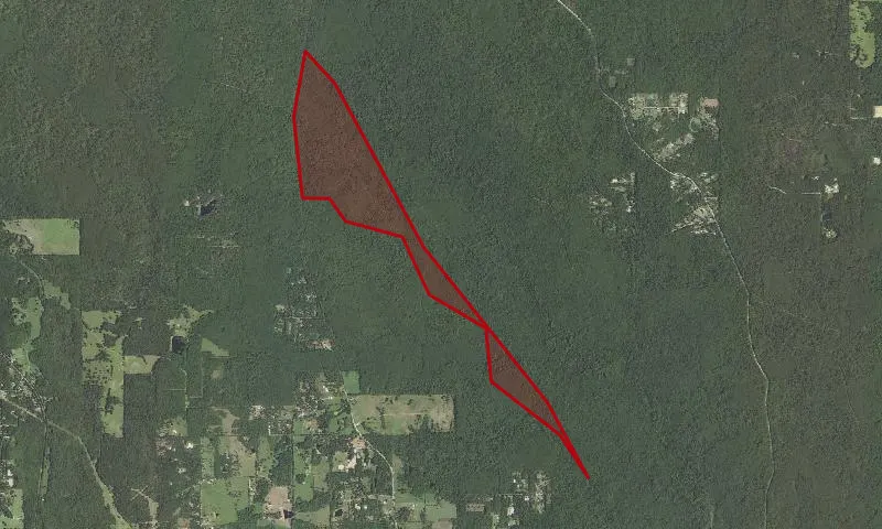 Little Lake Creek Roadless Area