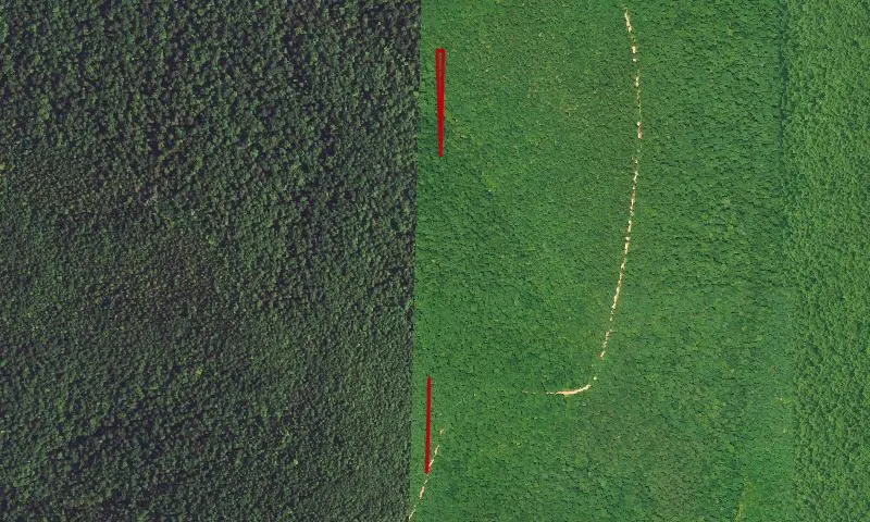 Beech Creek Roadless Area
