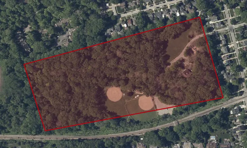 Elmwood Playground