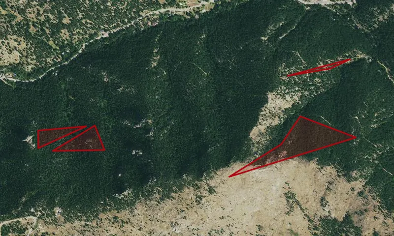 Anderson/Butzel Hill