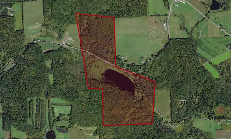 Papish Pond Multiple Use Area