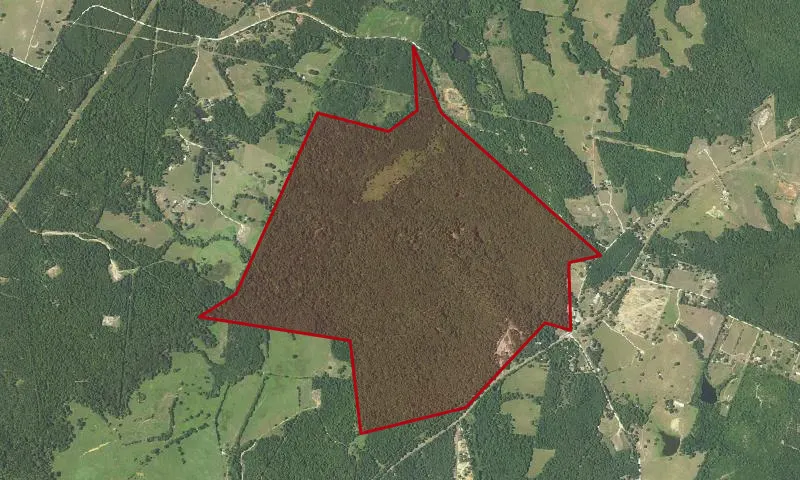 Mission Tejas State Park