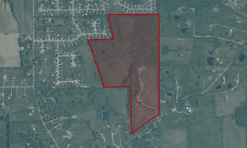 Fritton Wildlife Preserve